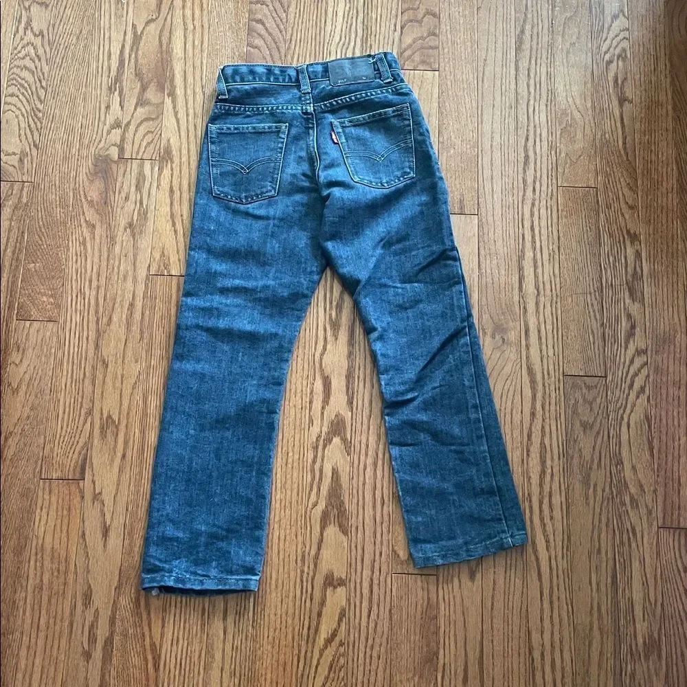 Levis levi’s 511